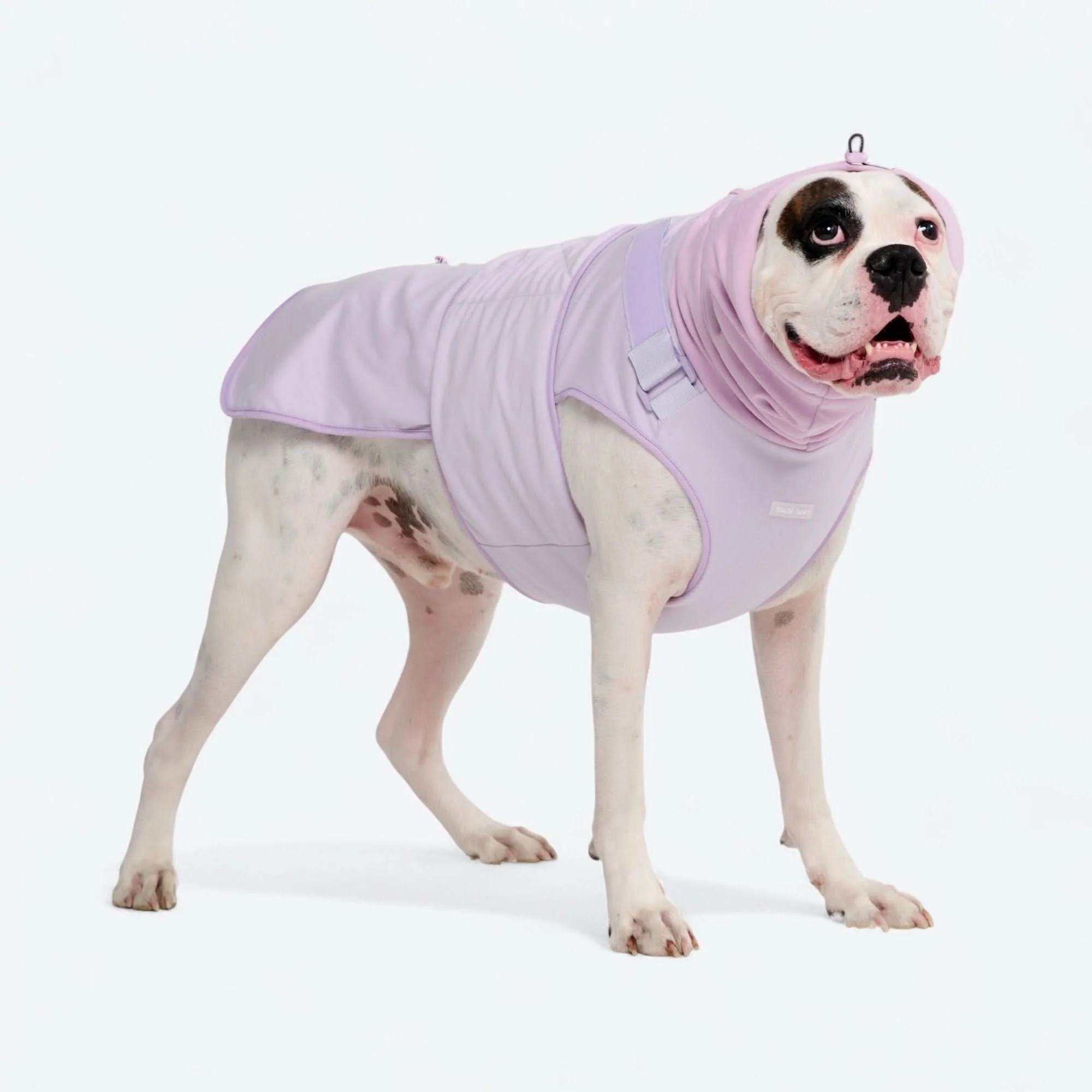 Productafbeelding 10