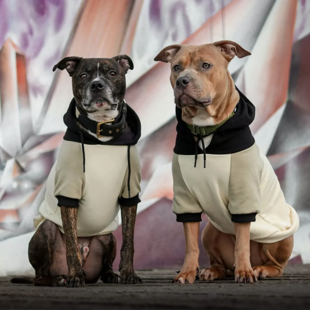 Productafbeelding 13