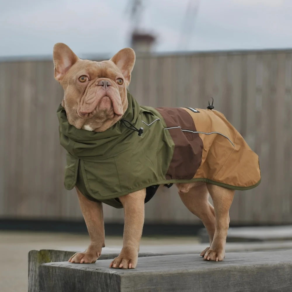 Productafbeelding 41