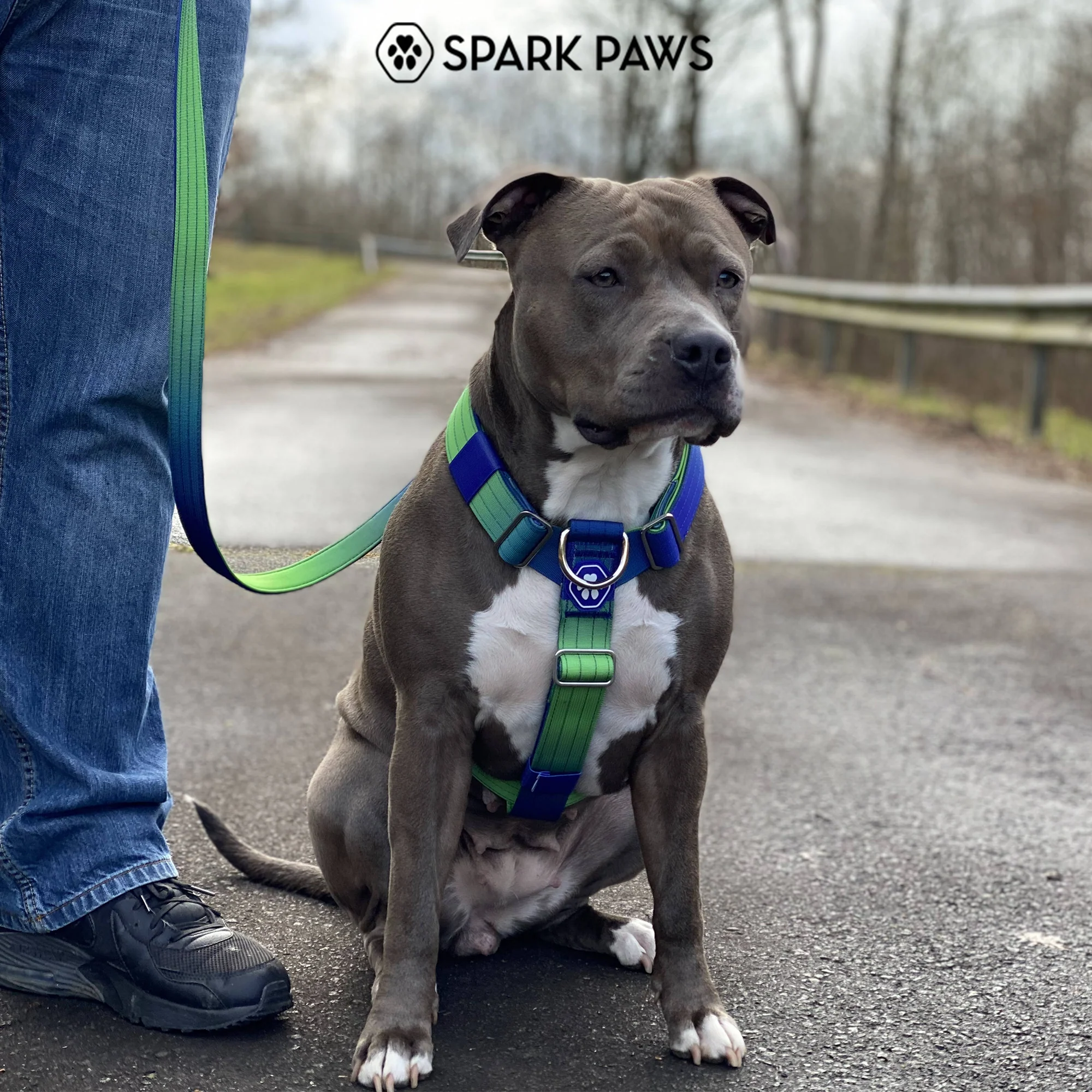 Productafbeelding 21