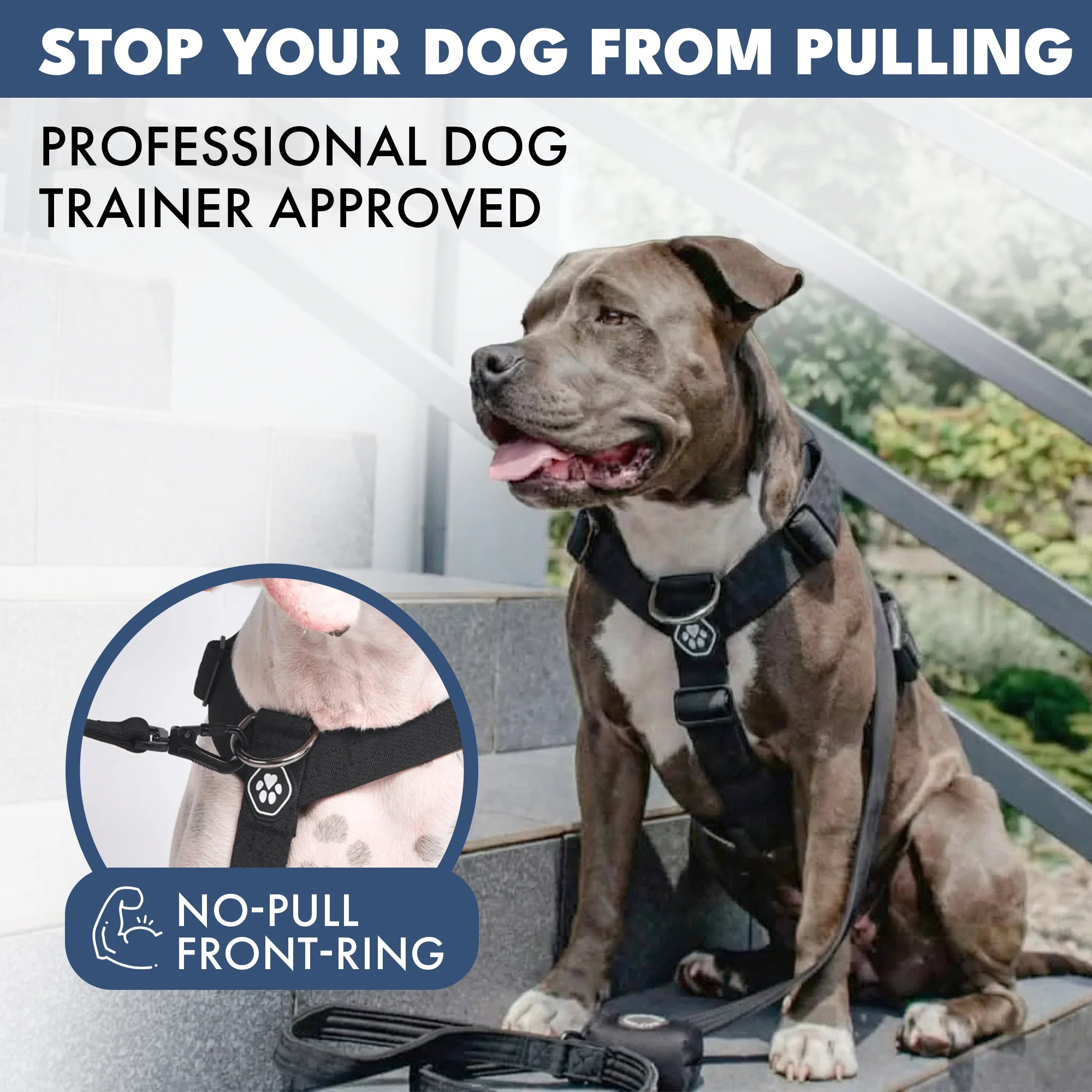 Productafbeelding 24