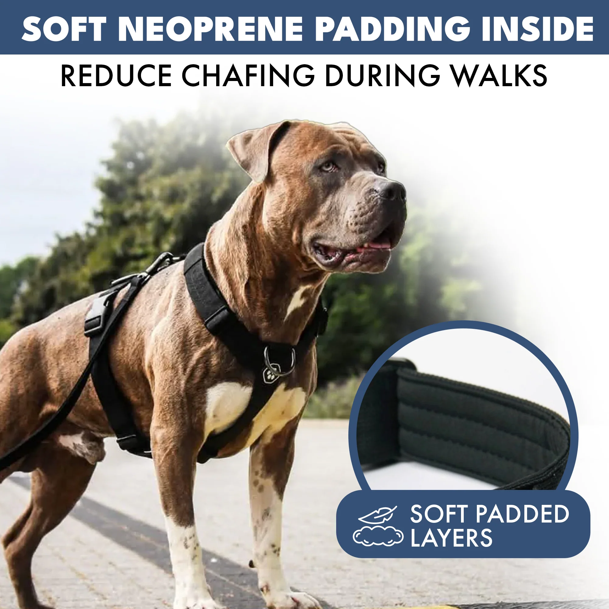 Productafbeelding 26