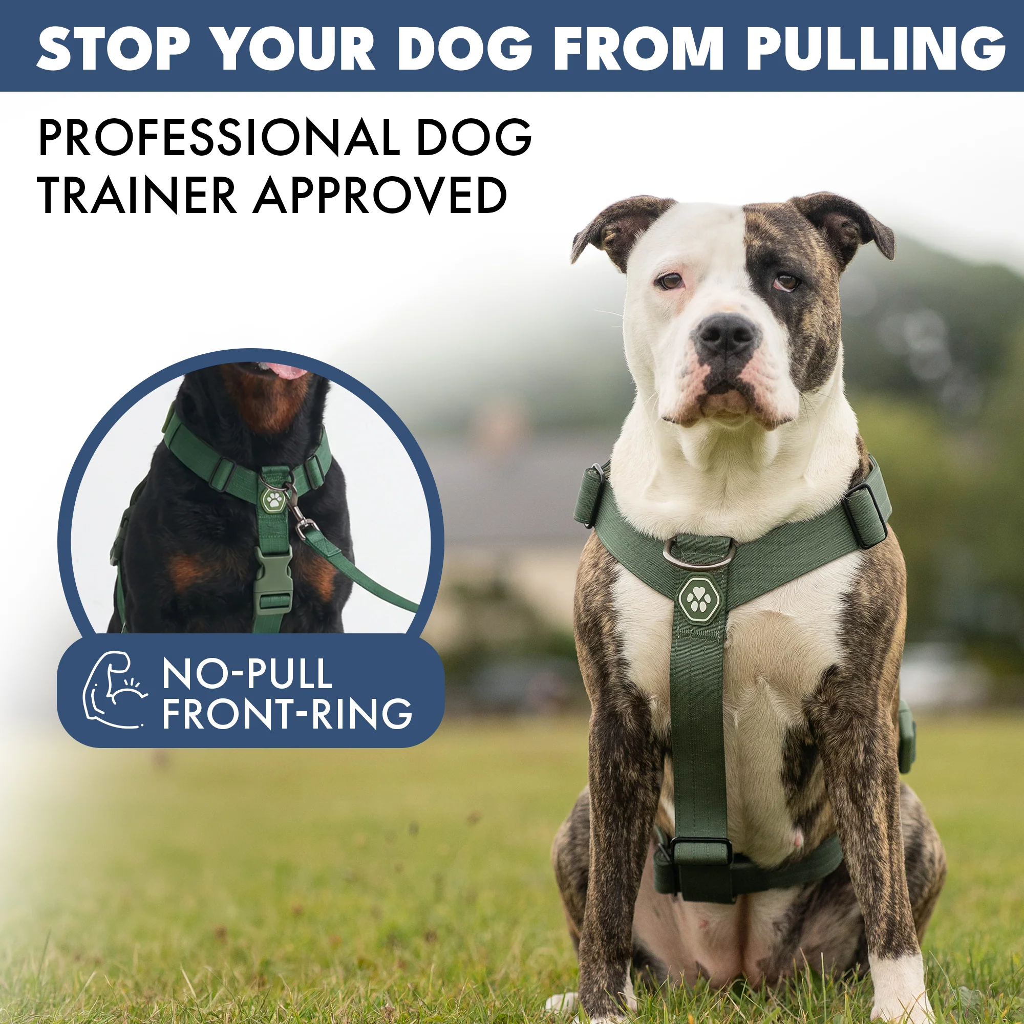 Productafbeelding 31