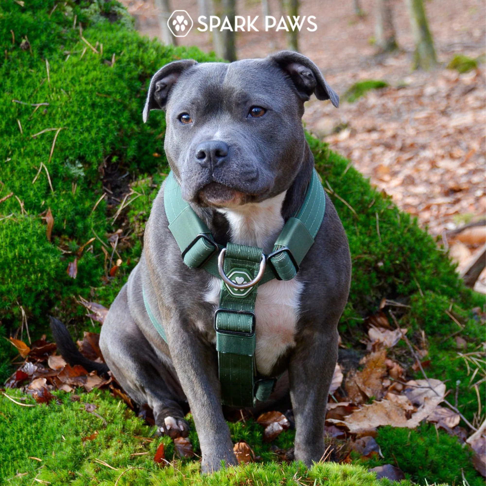 Productafbeelding 35