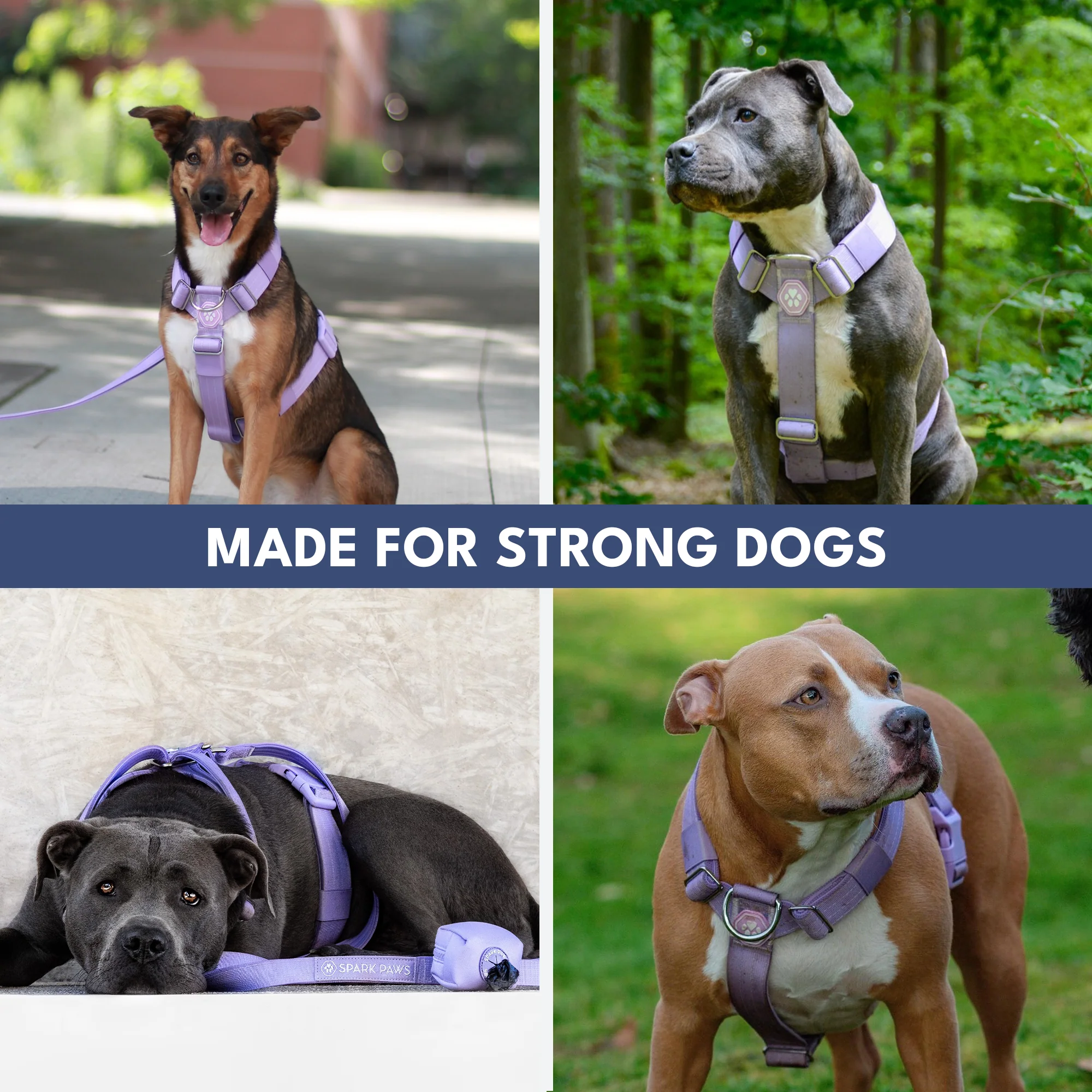 Productafbeelding 48