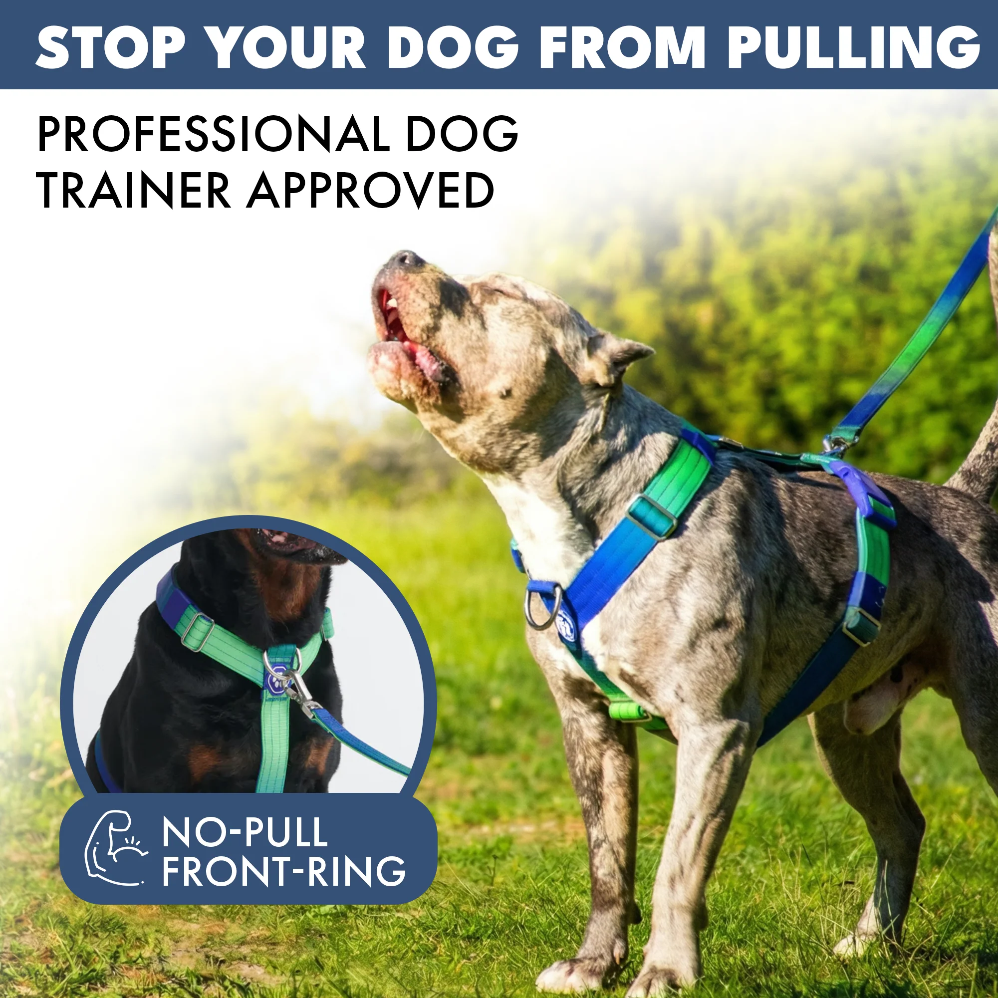 Productafbeelding 17