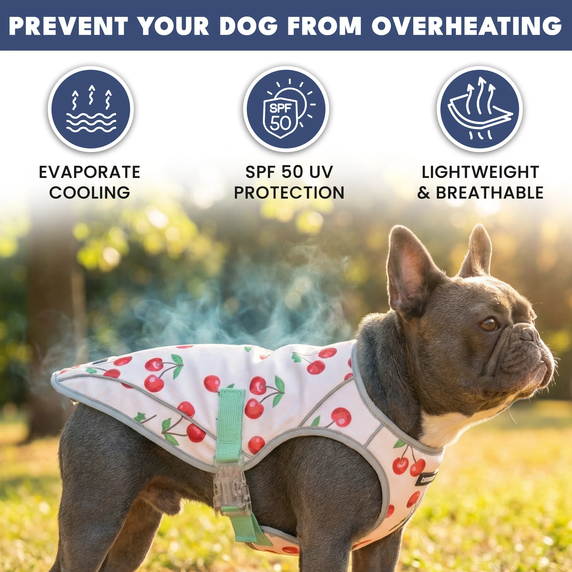 Productafbeelding 71