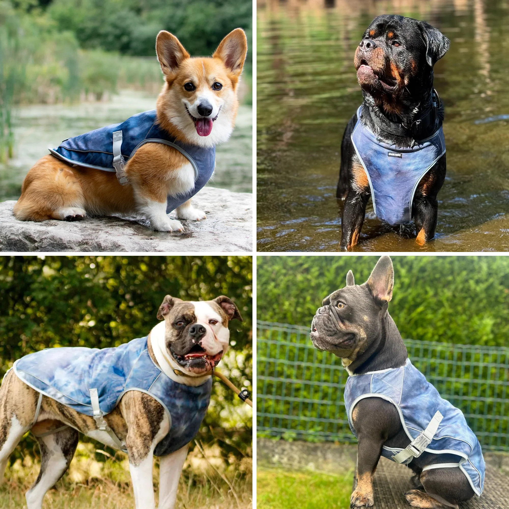 Productafbeelding 20