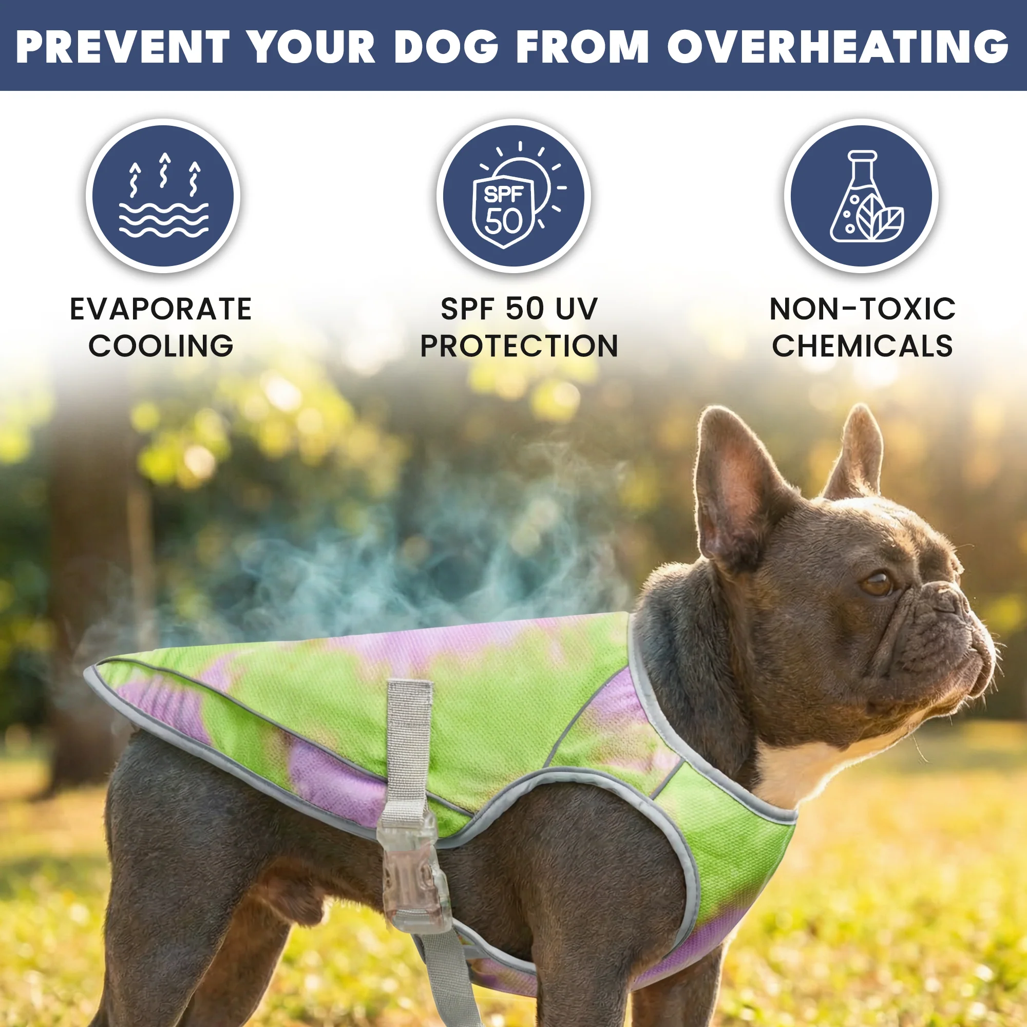 Productafbeelding 38