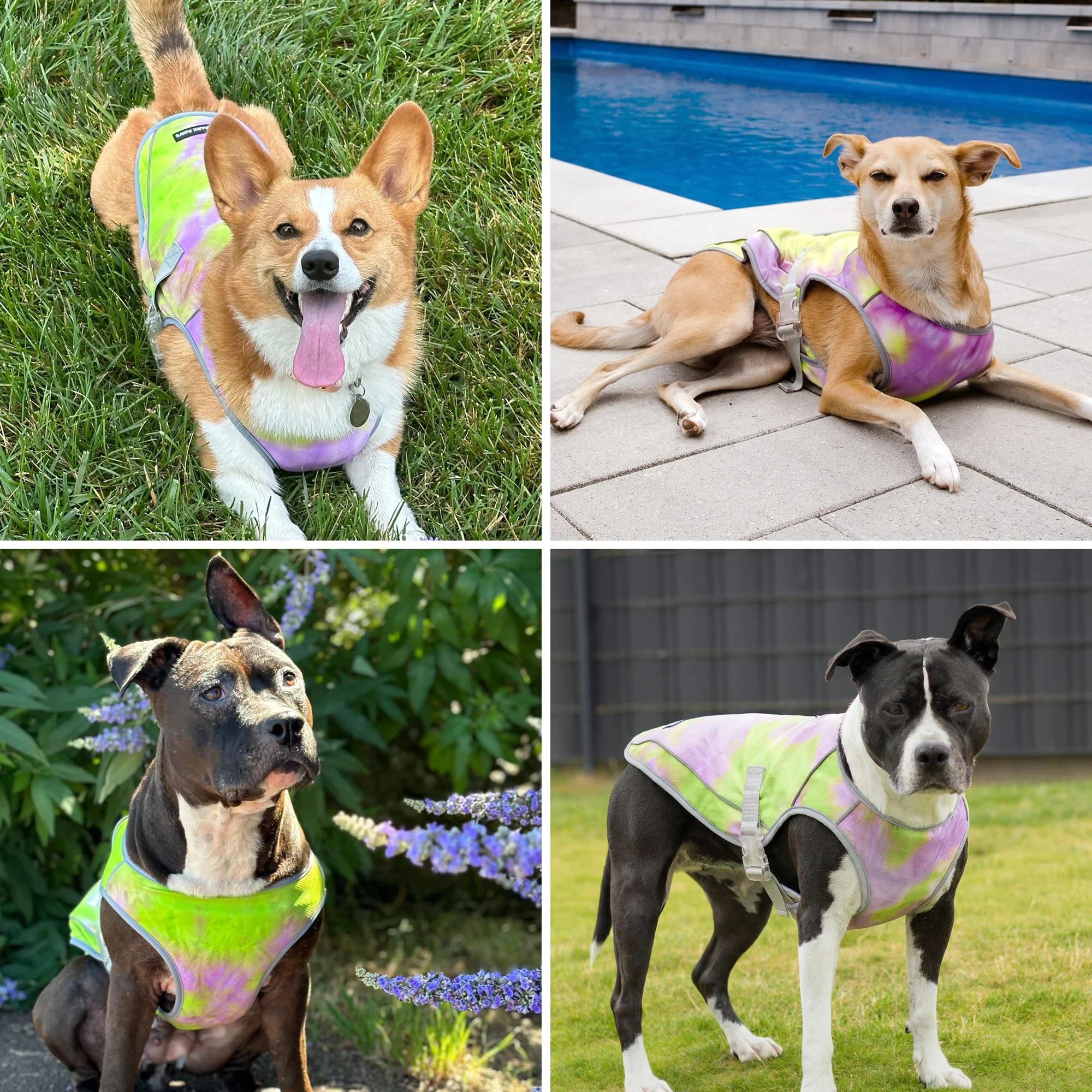 Productafbeelding 42