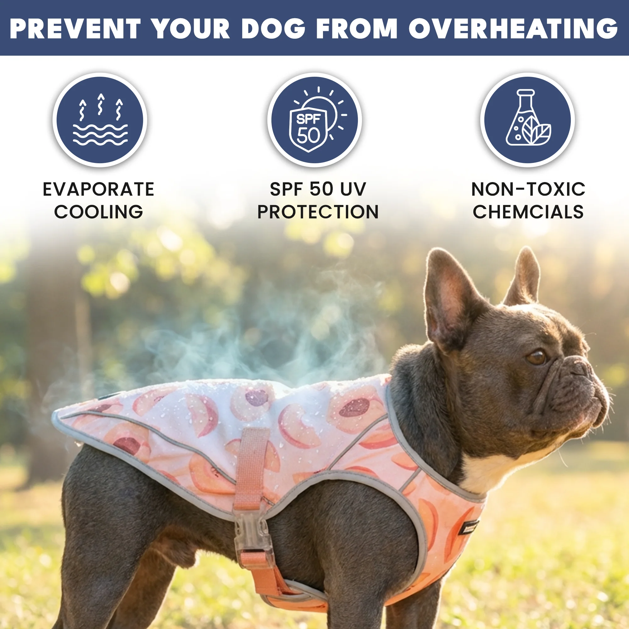 Productafbeelding 82