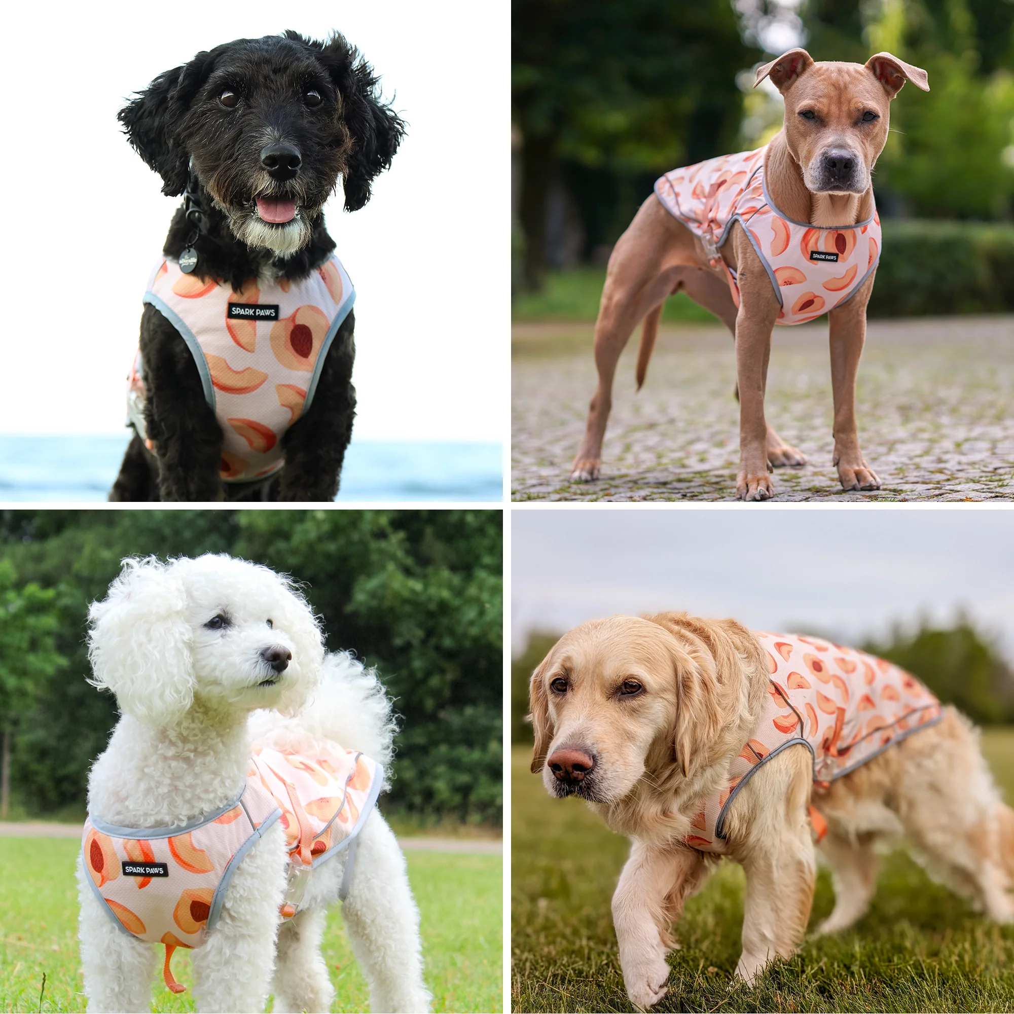 Productafbeelding 86