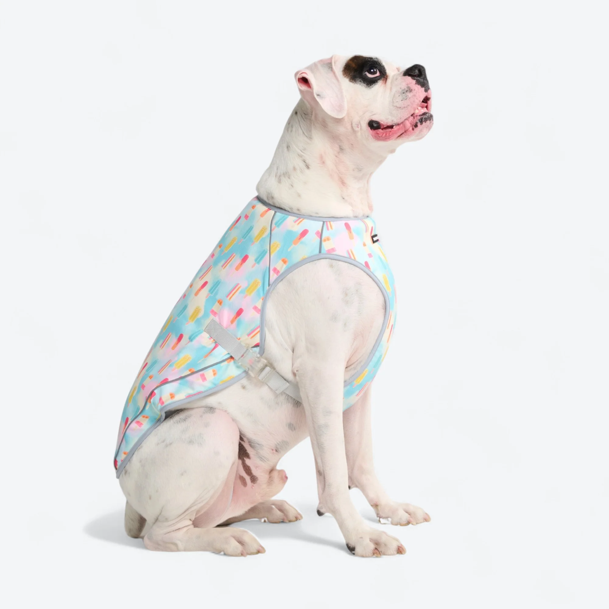 Productafbeelding 58