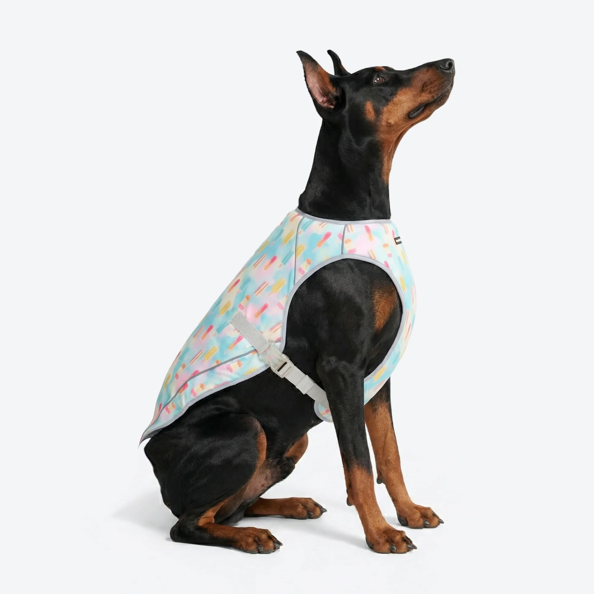 Productafbeelding 59