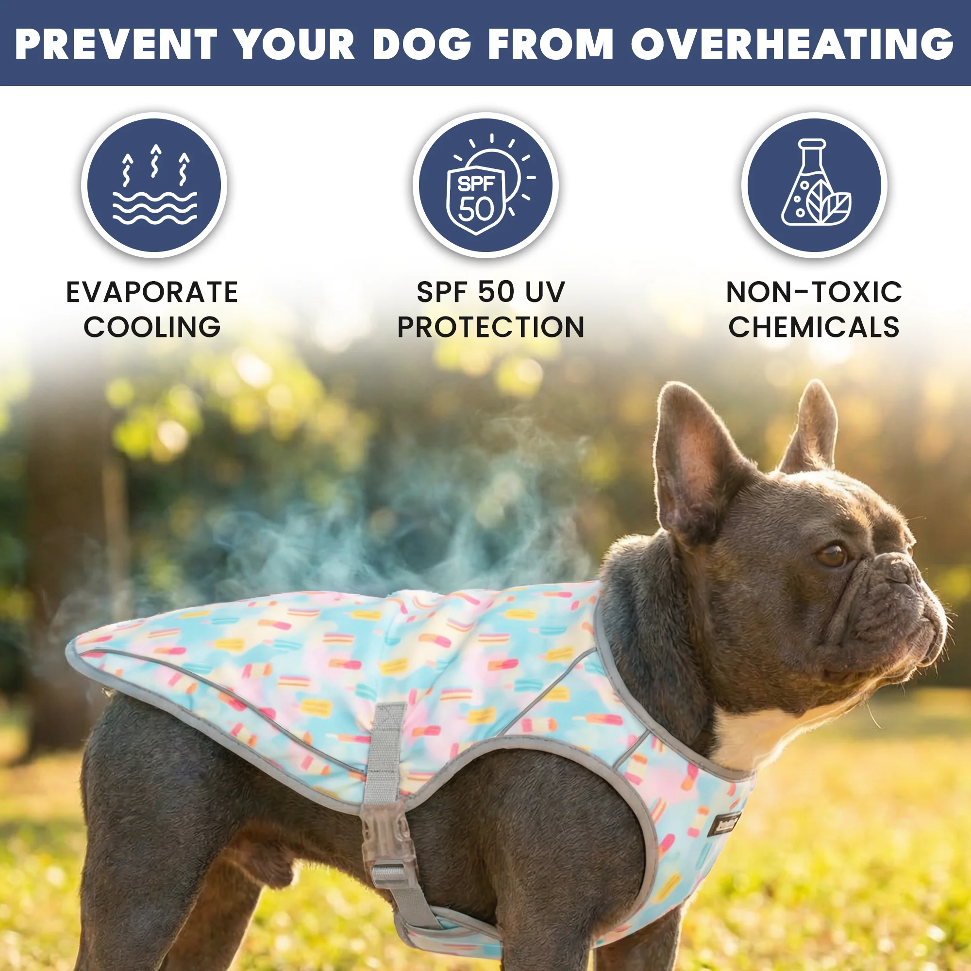 Productafbeelding 60