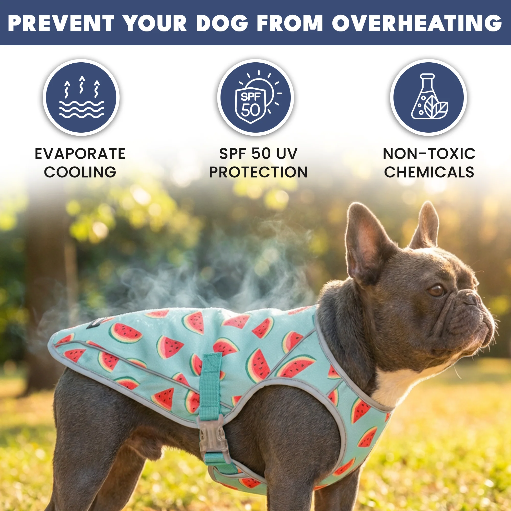 Productafbeelding 49