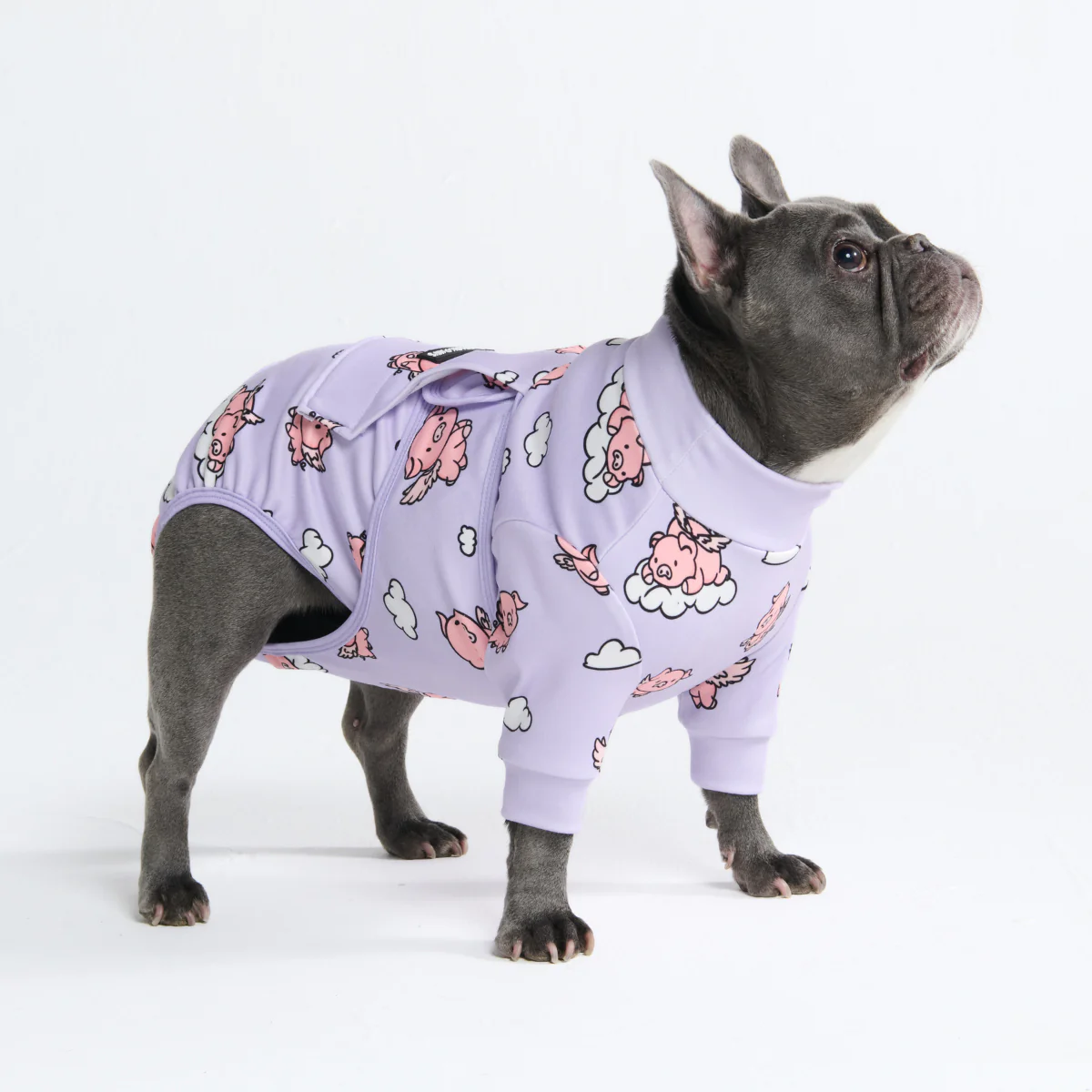 Productafbeelding 11