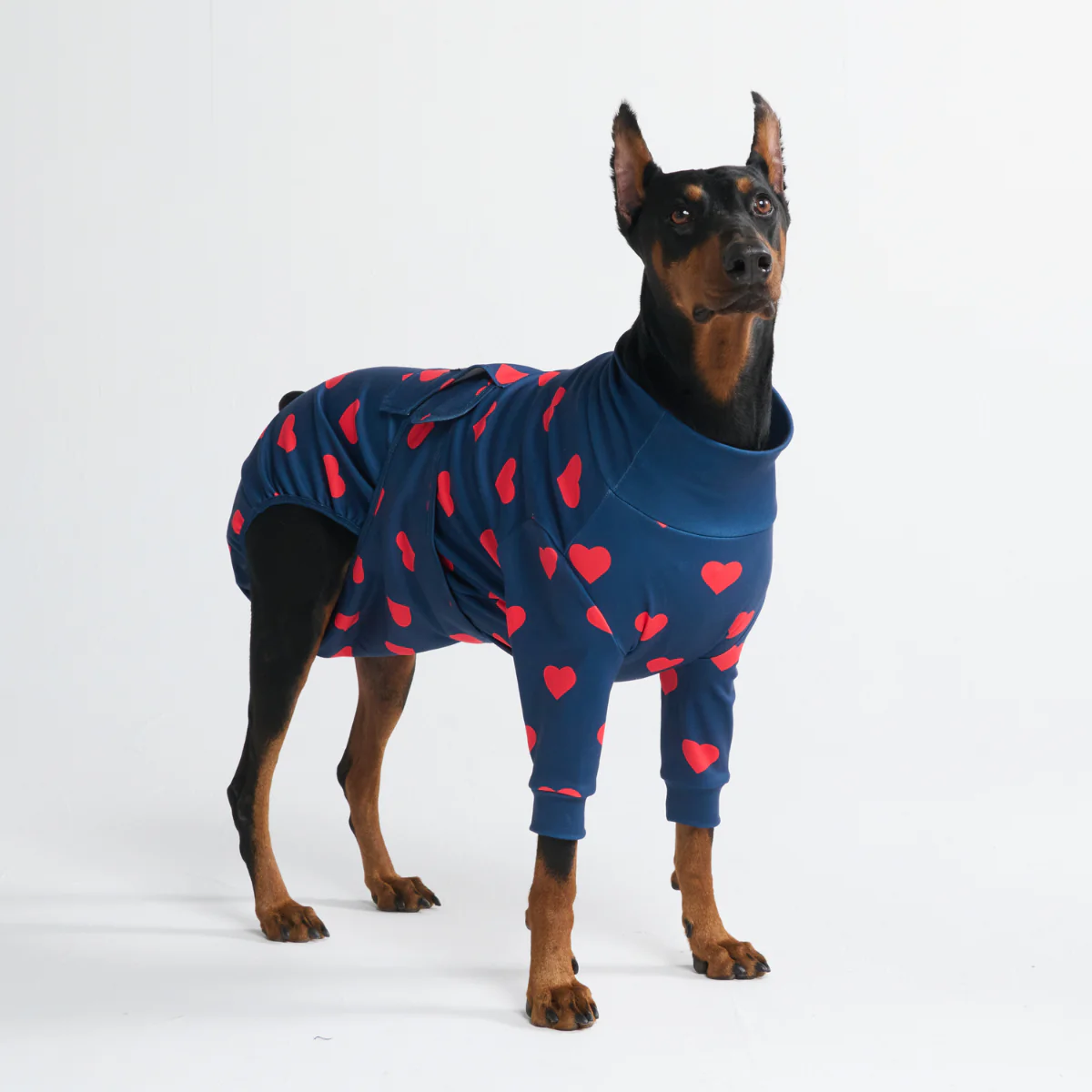 Productafbeelding 12