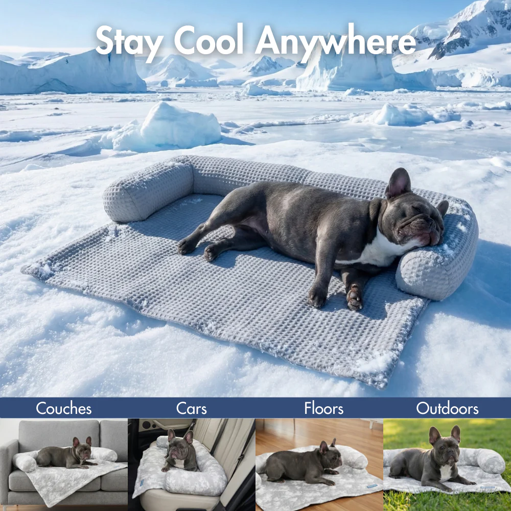 Productafbeelding 11