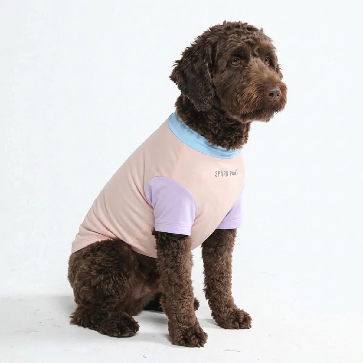 Productafbeelding 10