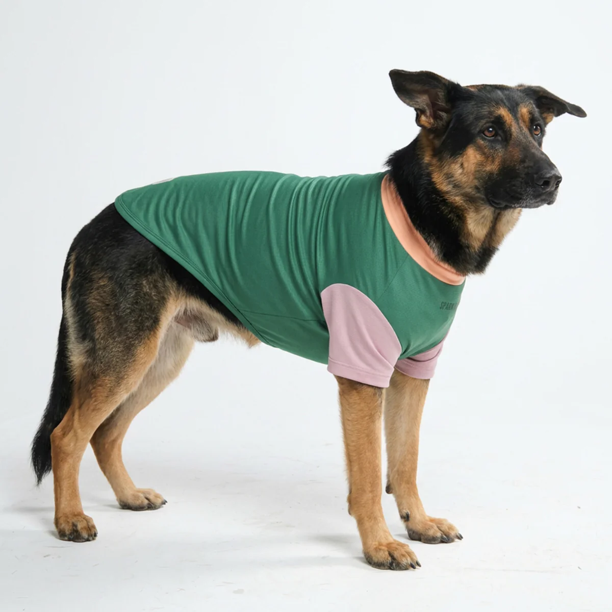 Productafbeelding 28