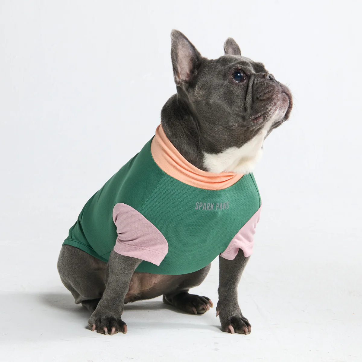 Productafbeelding 30