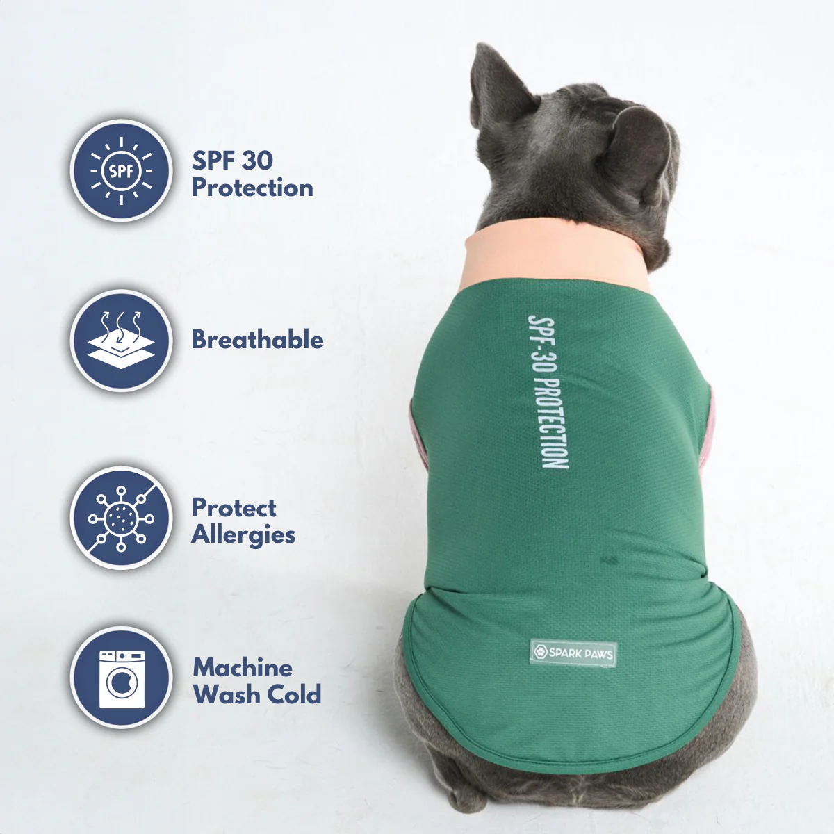 Productafbeelding 31