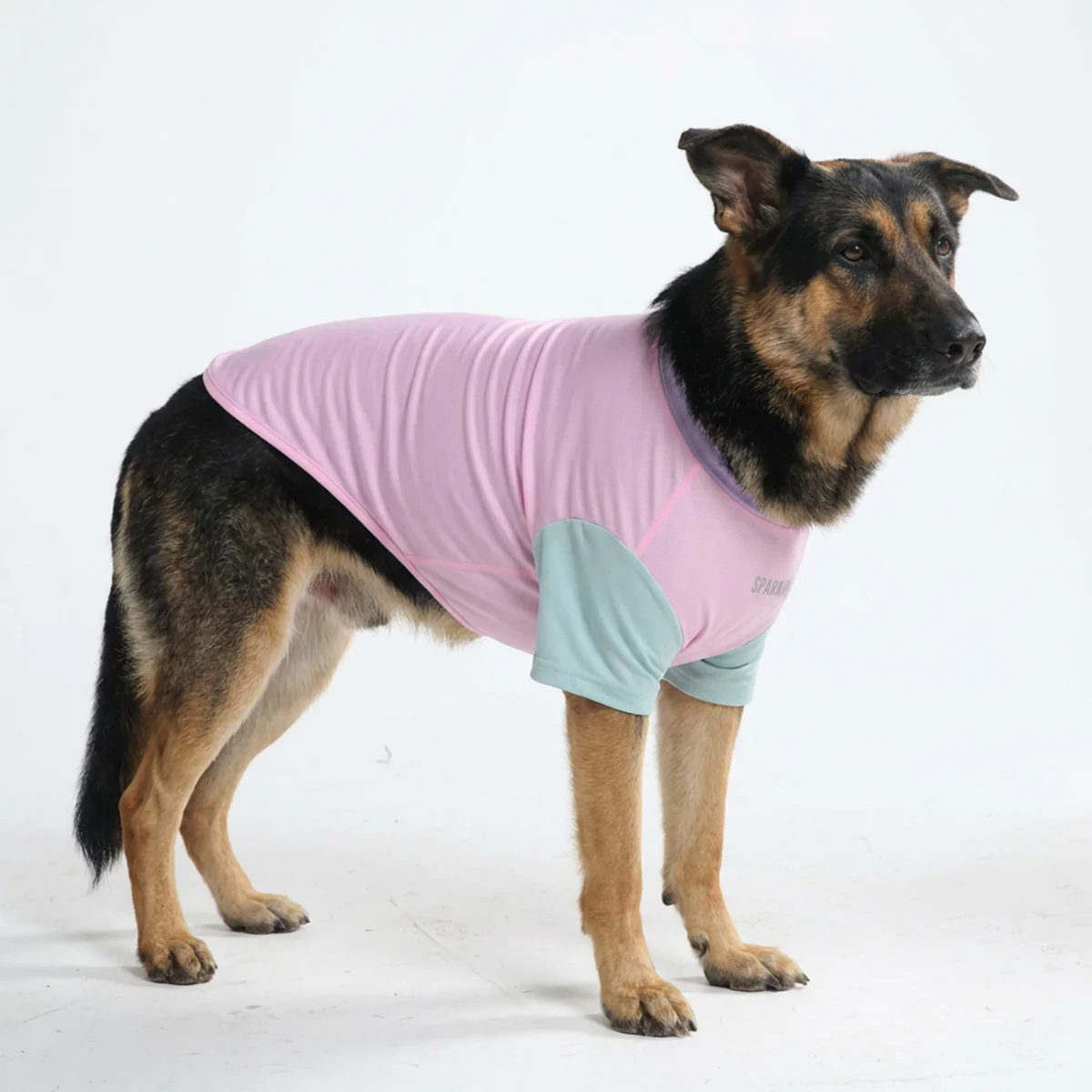 Productafbeelding 36