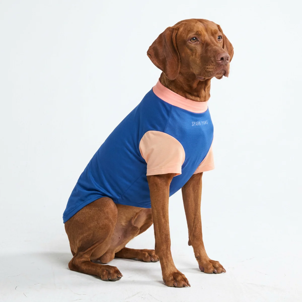 Productafbeelding 42