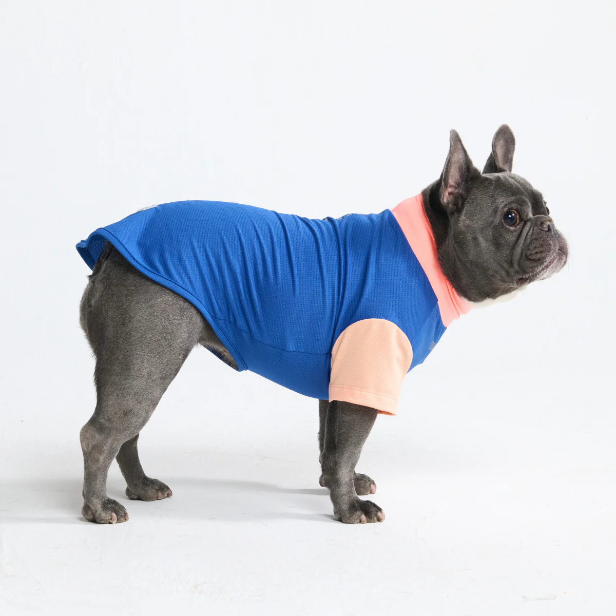 Productafbeelding 45