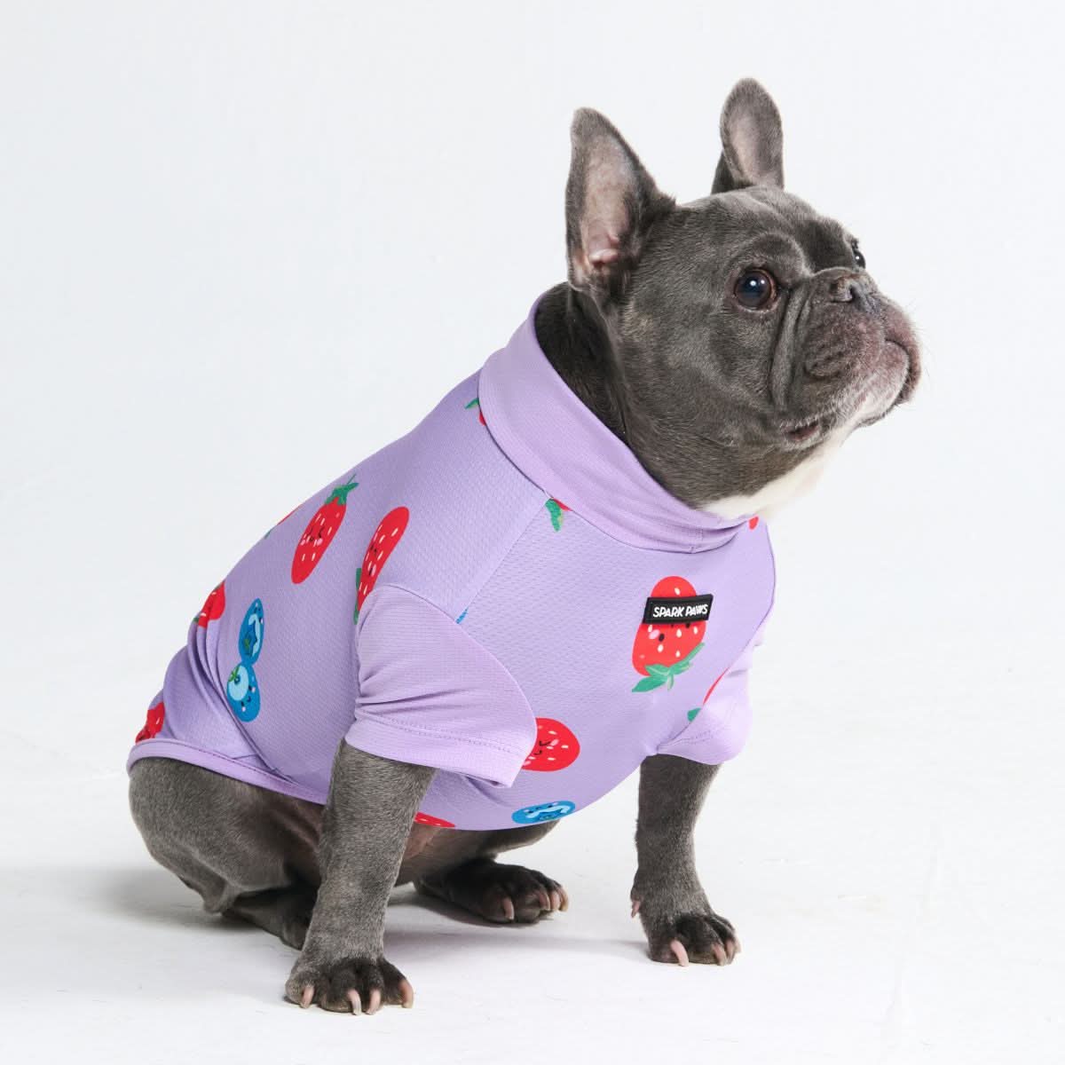 Productafbeelding 24