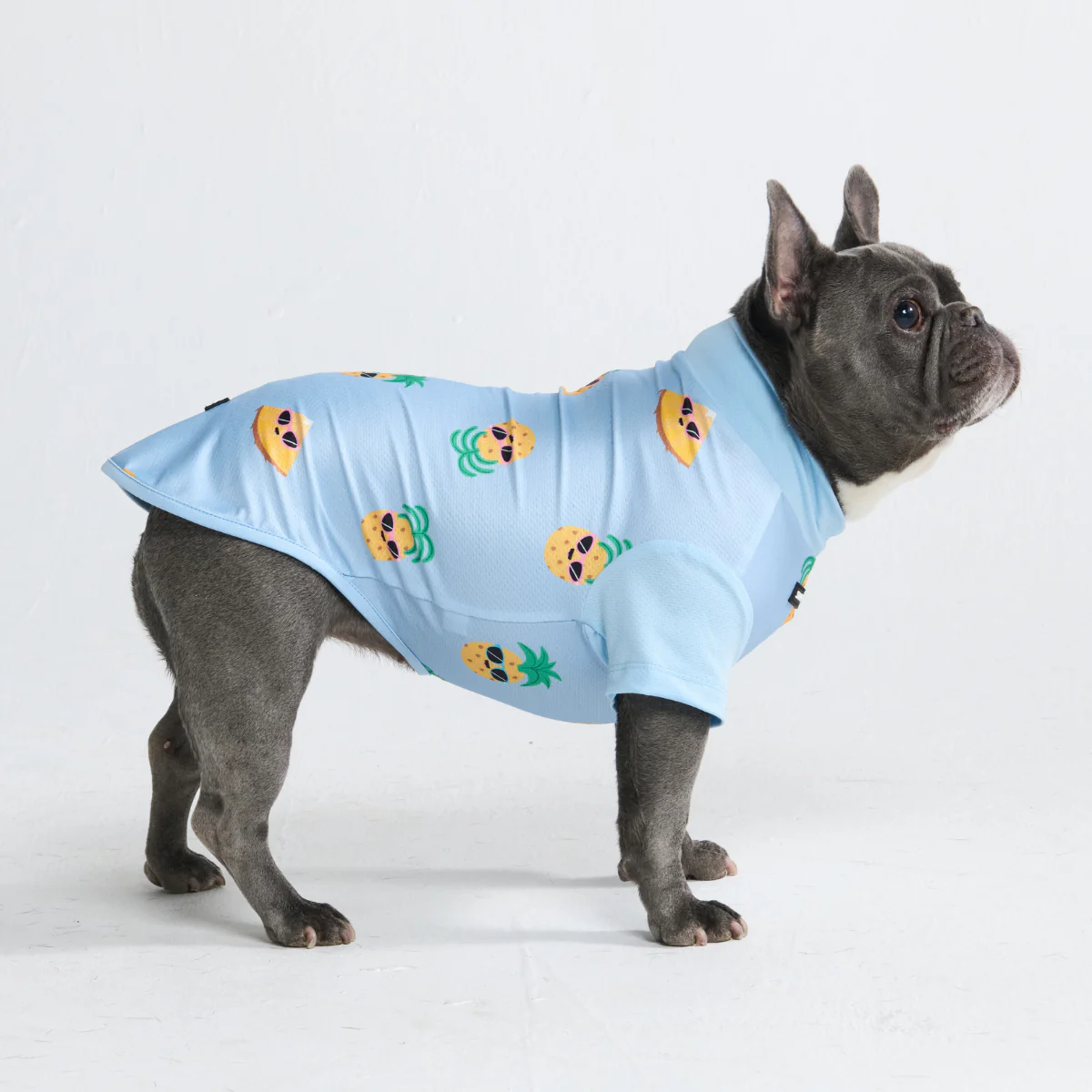 Productafbeelding 37