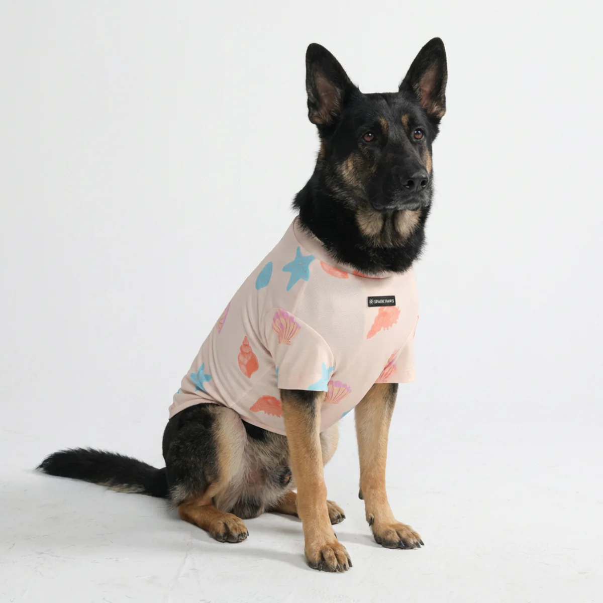 Productafbeelding 30