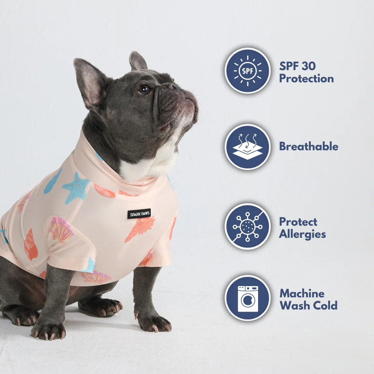 Productafbeelding 31