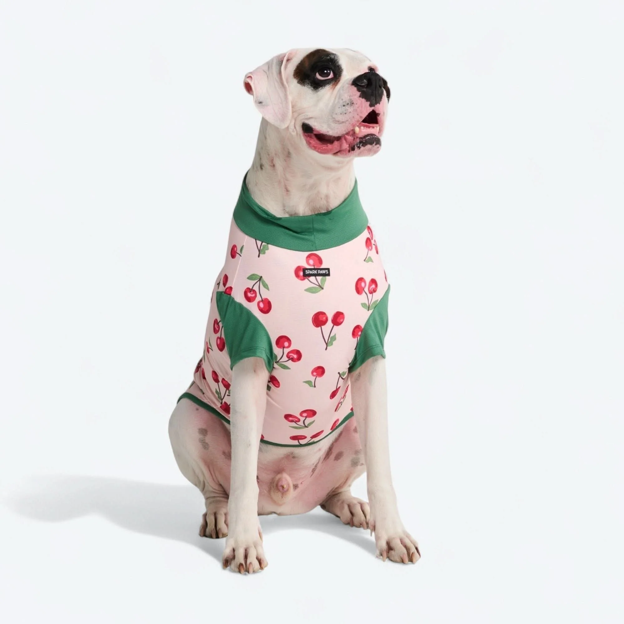 Productafbeelding 10