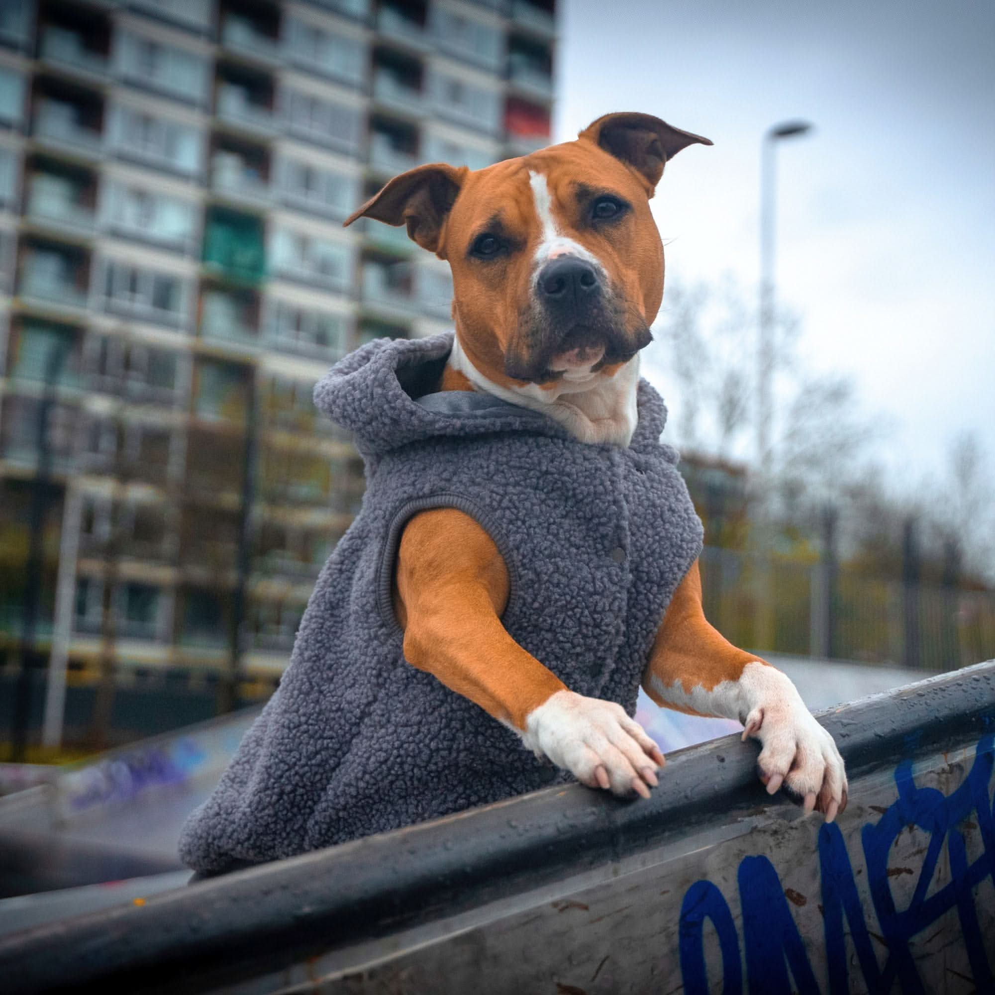 Productafbeelding 19