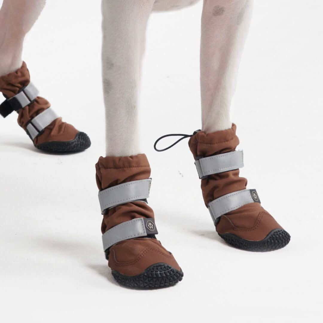 Productafbeelding 65